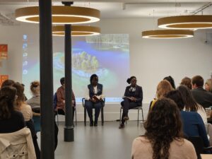 This image shows a talk which explored girls centred care systems. The three presenters are from three different organisations which tackle the issue from different areas.